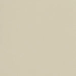 Faux Leather Cream White